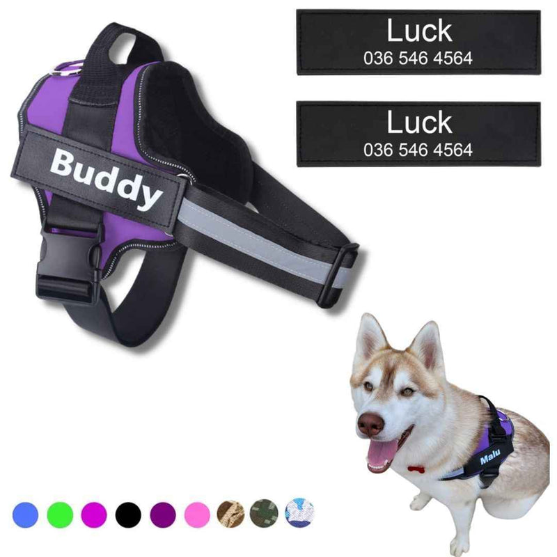 Coleira Peitoral Personalizada para Cachorros com Tags - Safe Buddy