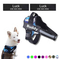 Coleira Peitoral Personalizada para Cachorros com Tags - Safe Buddy