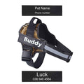 Coleira Peitoral Personalizada para Cachorros com Tags - Safe Buddy